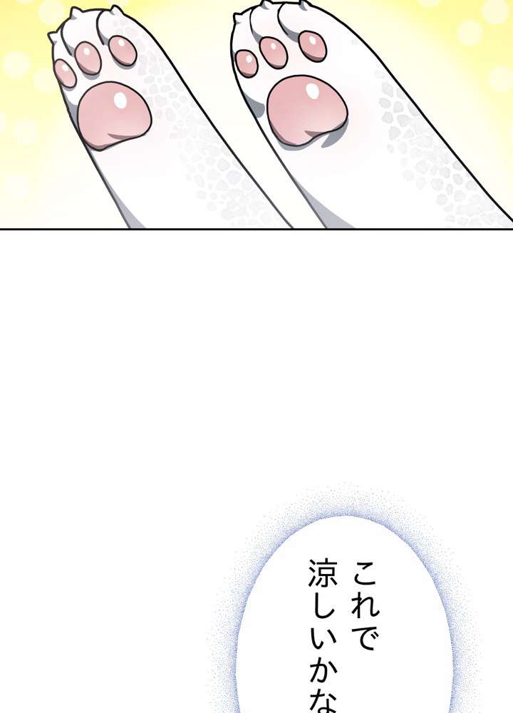 P84