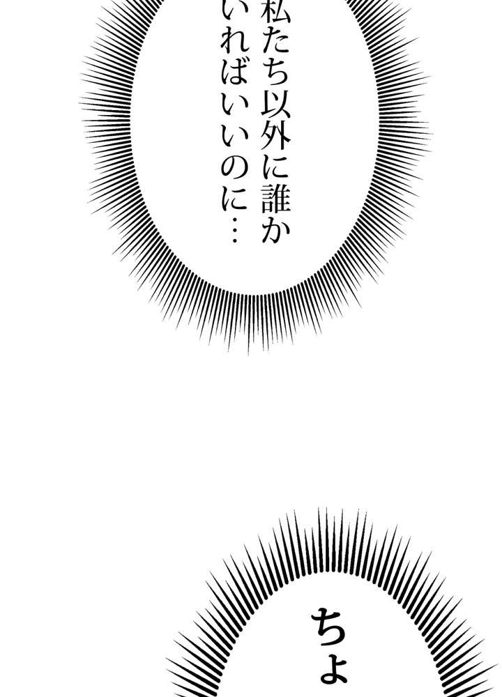 P66