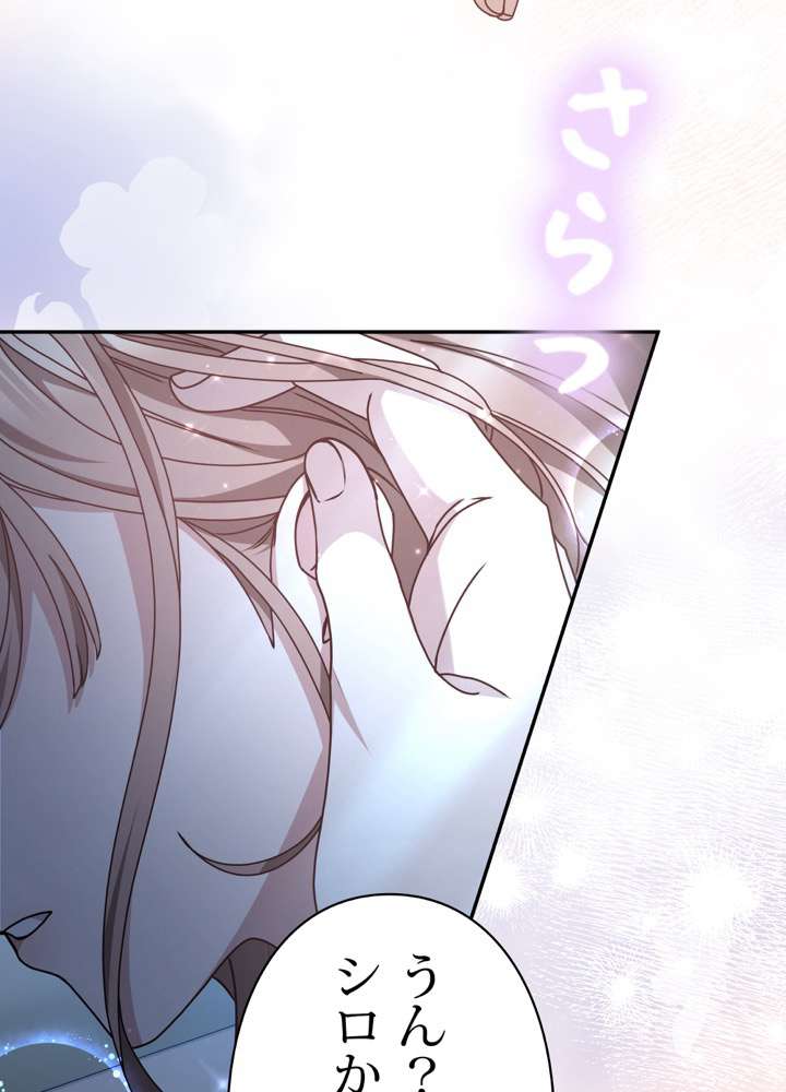 P66