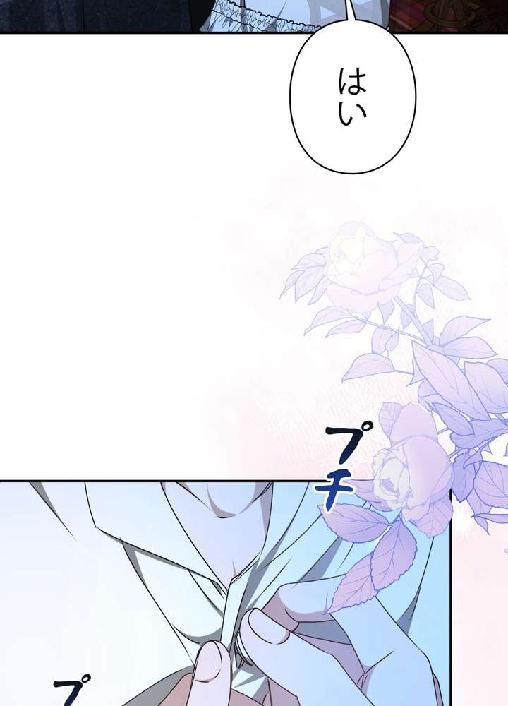 P81
