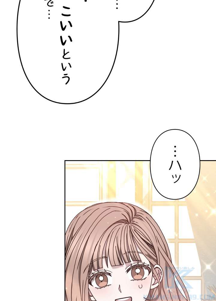 P61