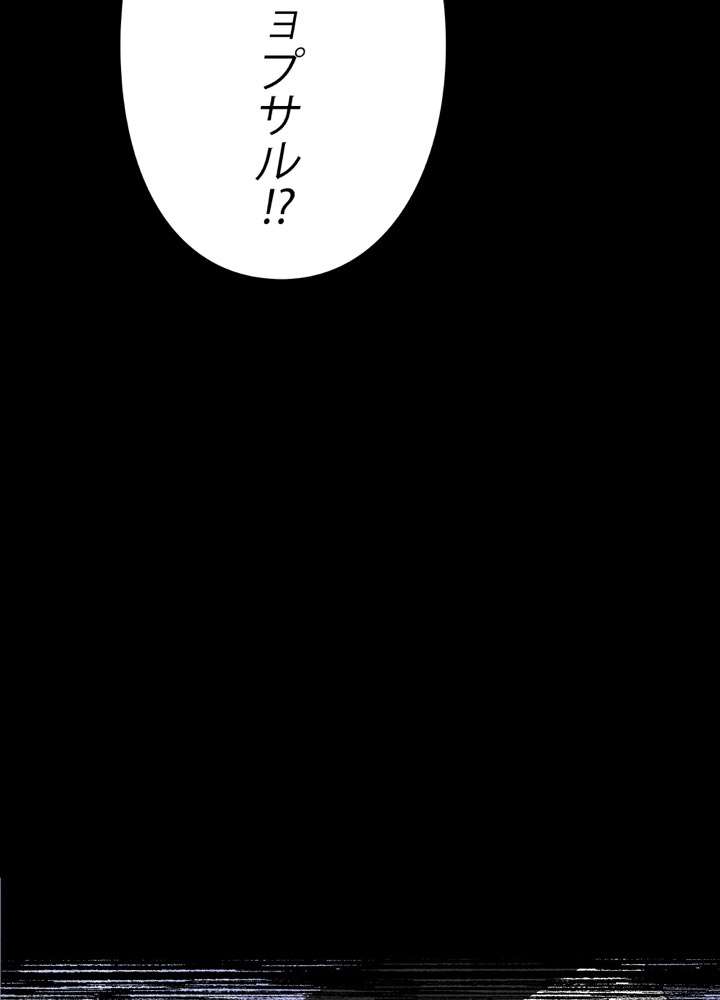 P113