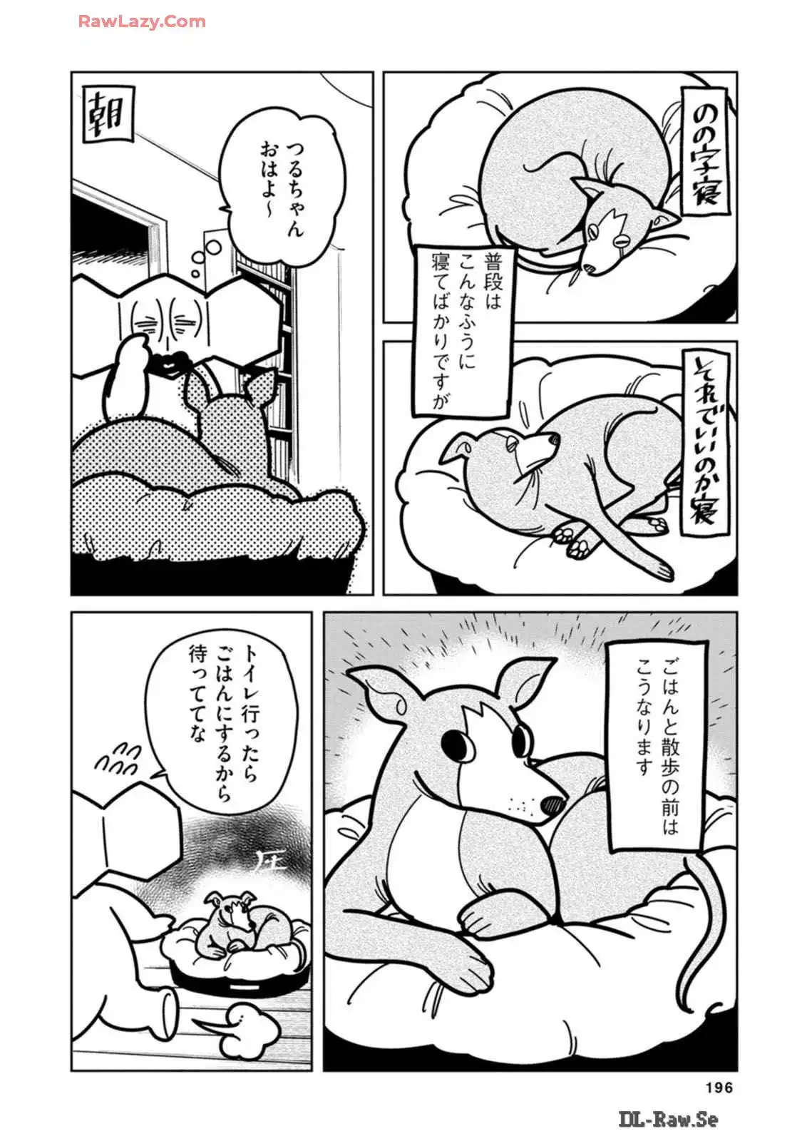 P38