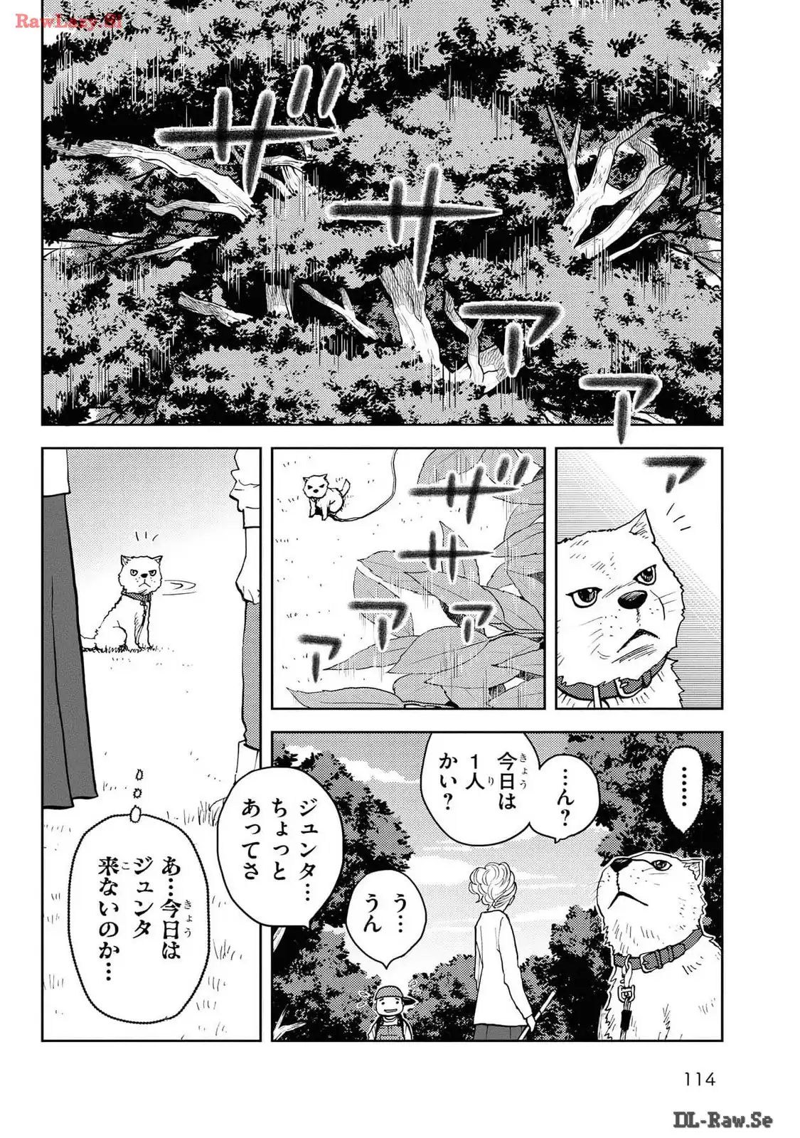 P40