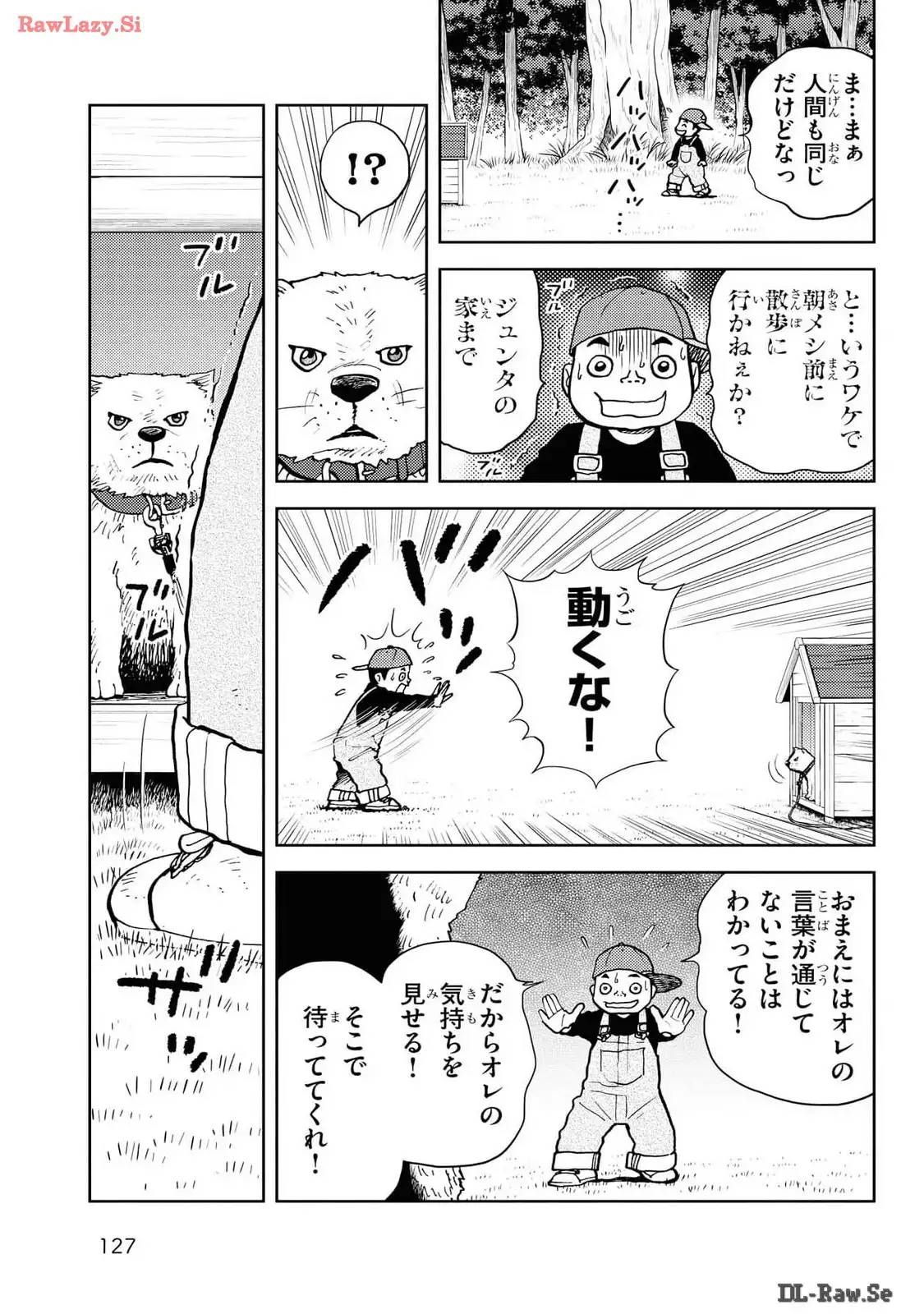 P53