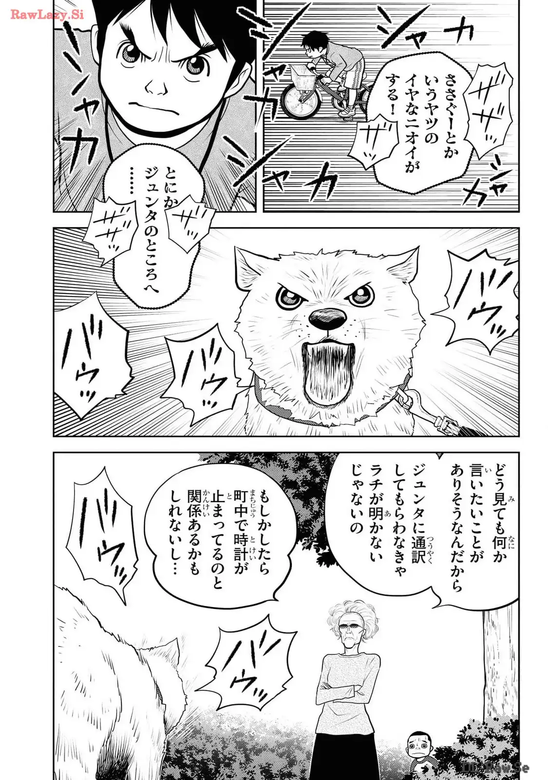 P29