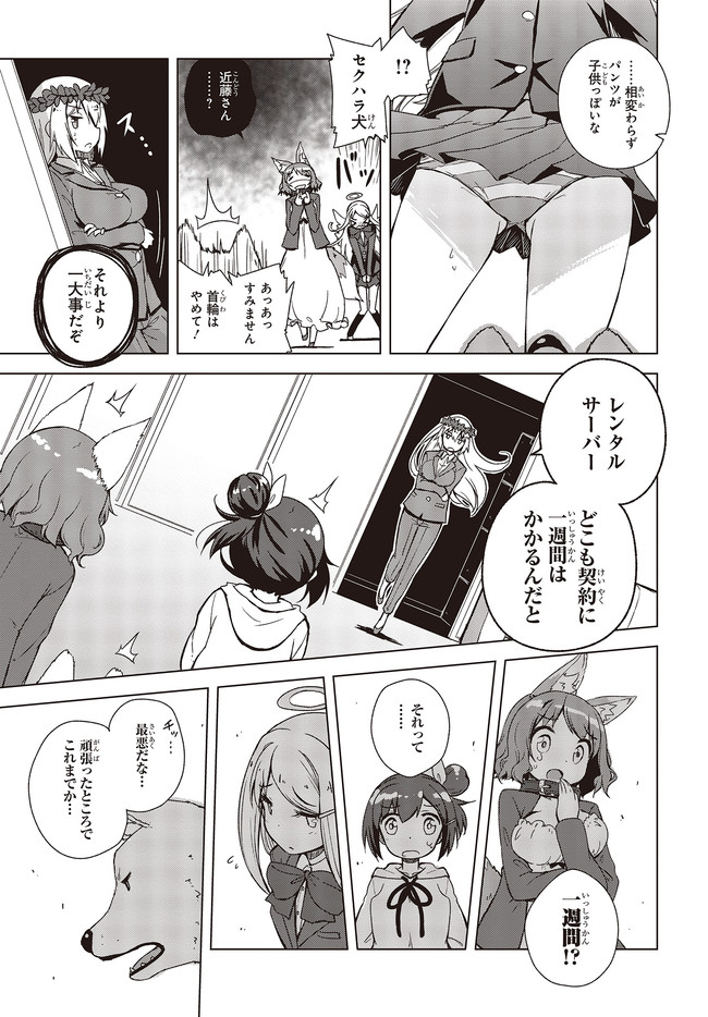 P13