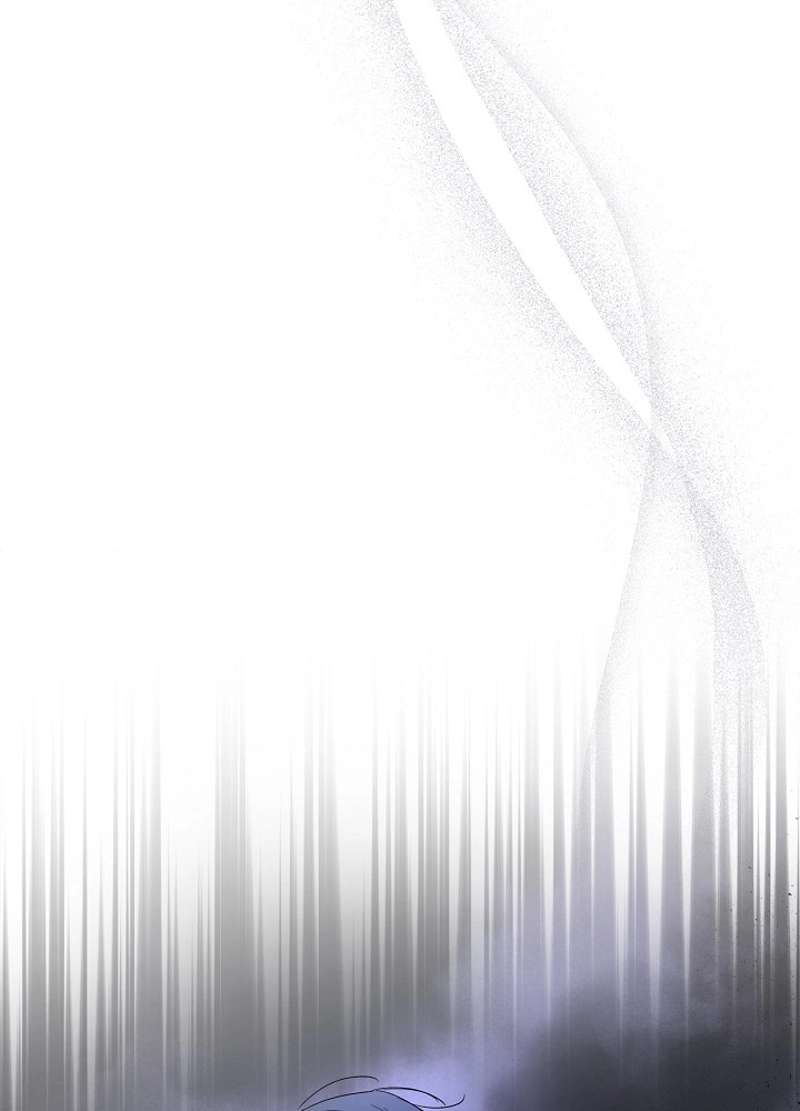 P53