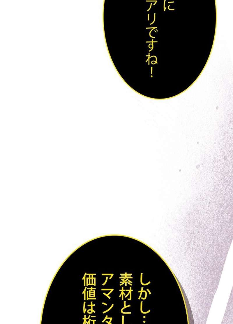 P113
