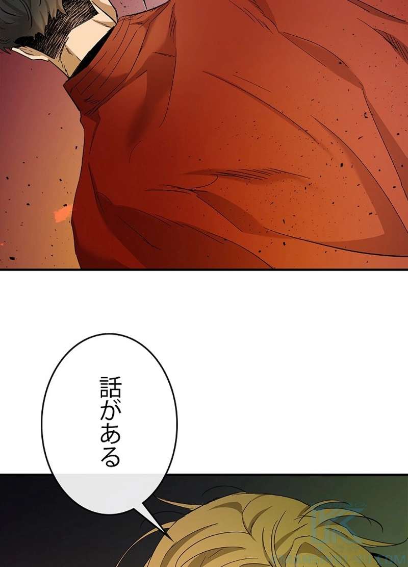 P61