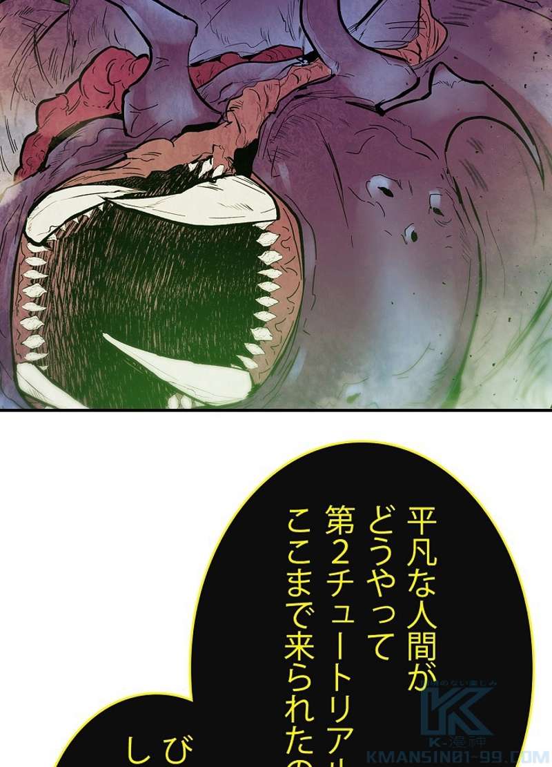P61