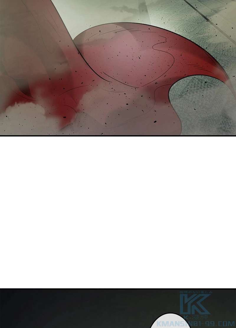 P61