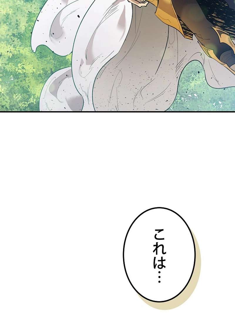 P44