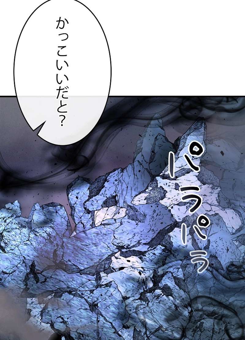 P113