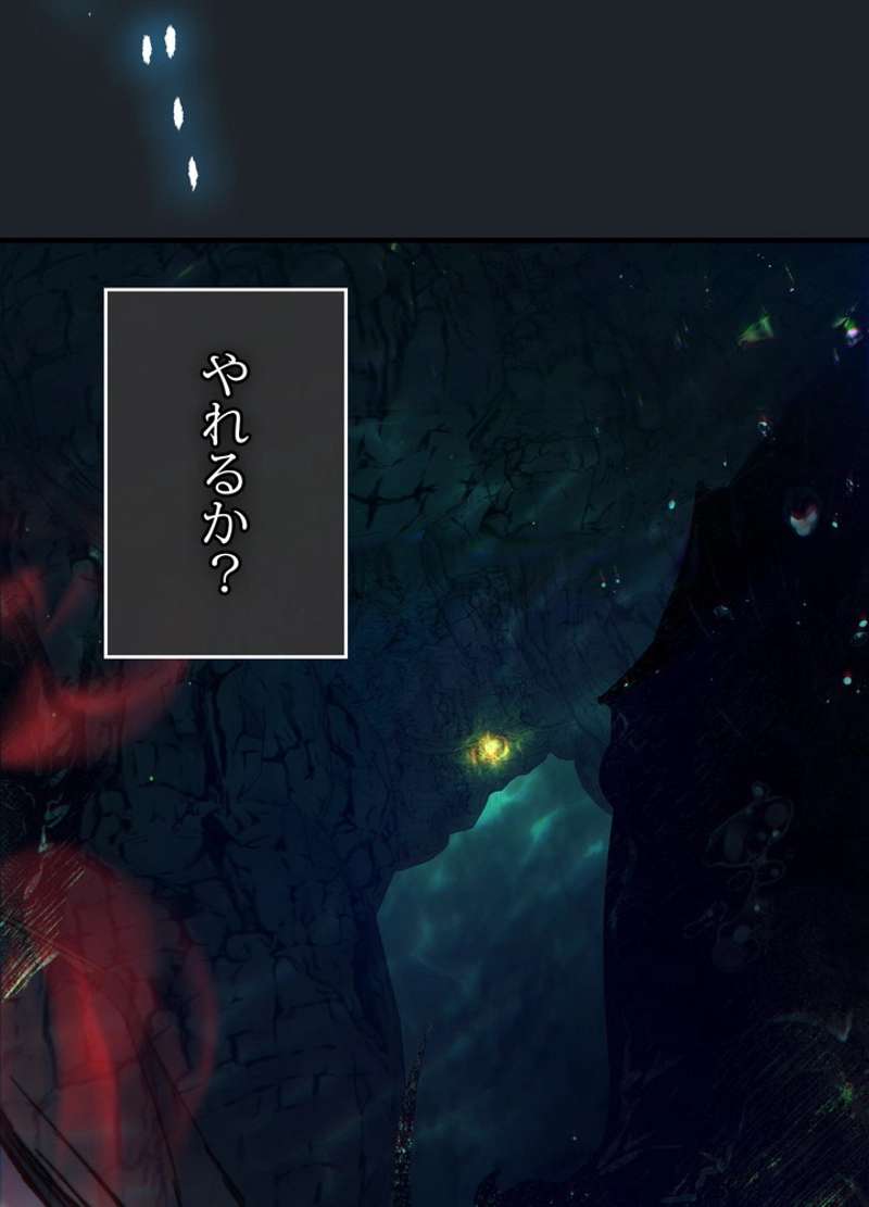 P113