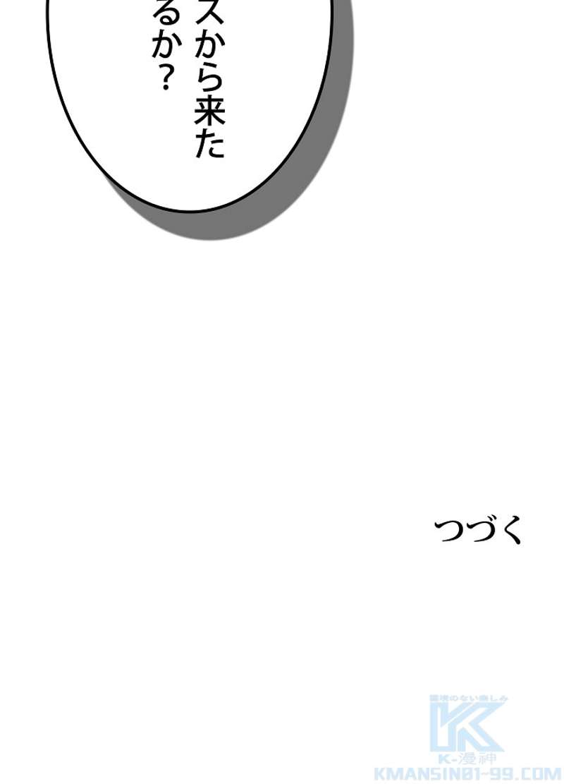 P133