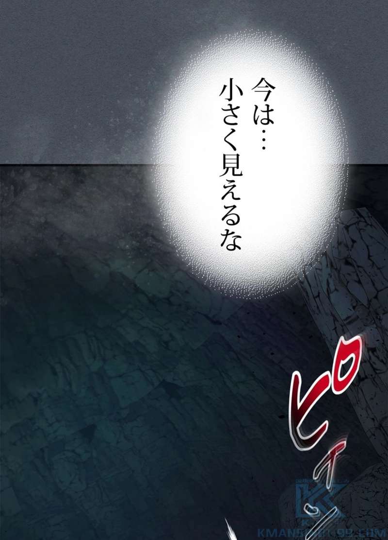 P58