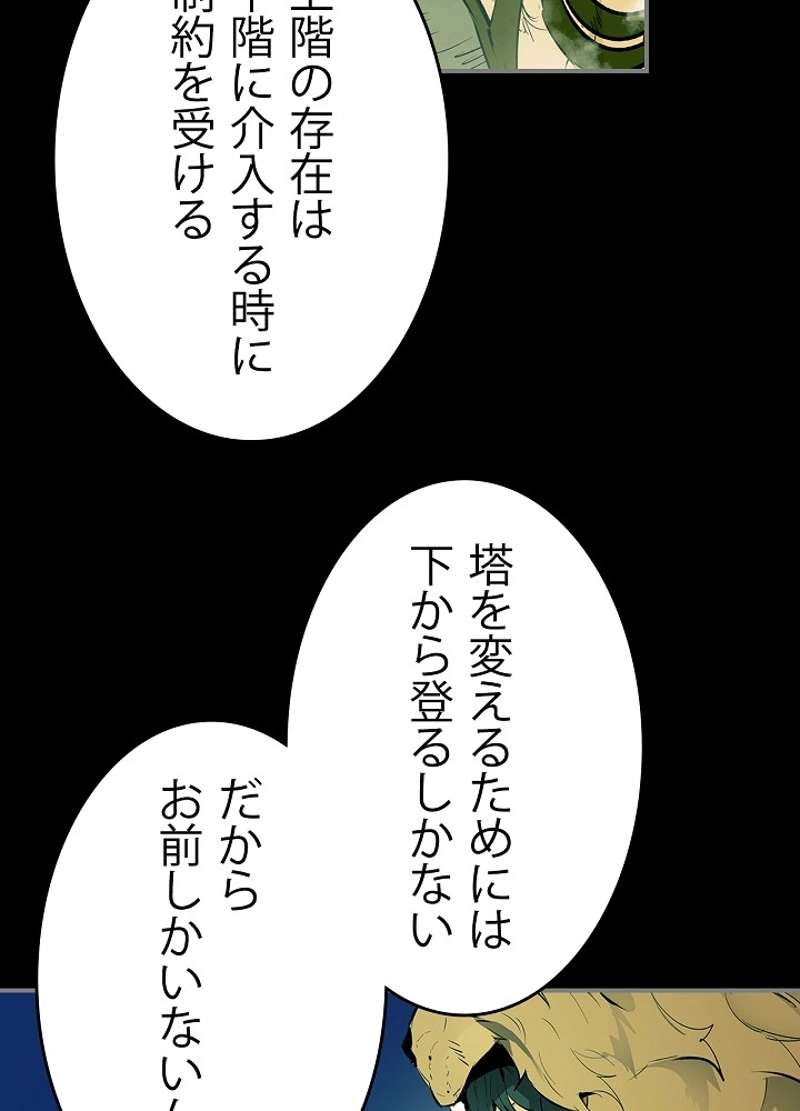 P63