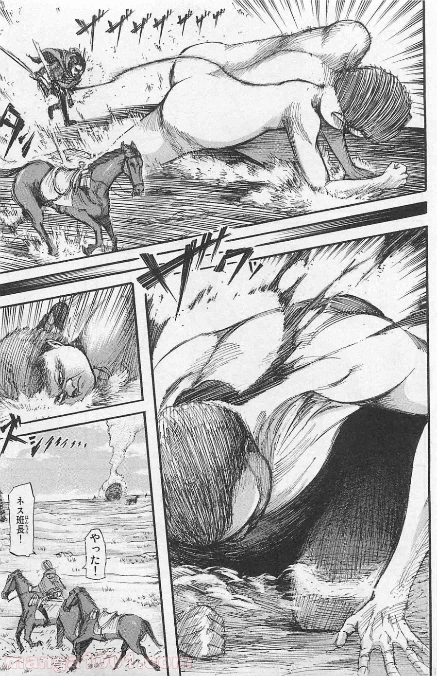 P31
