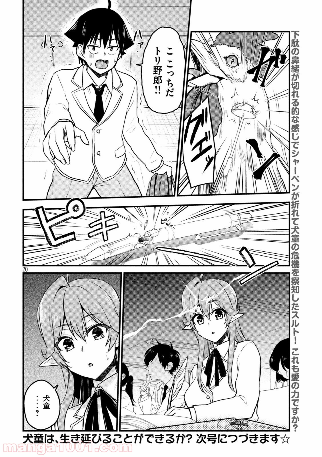 P20