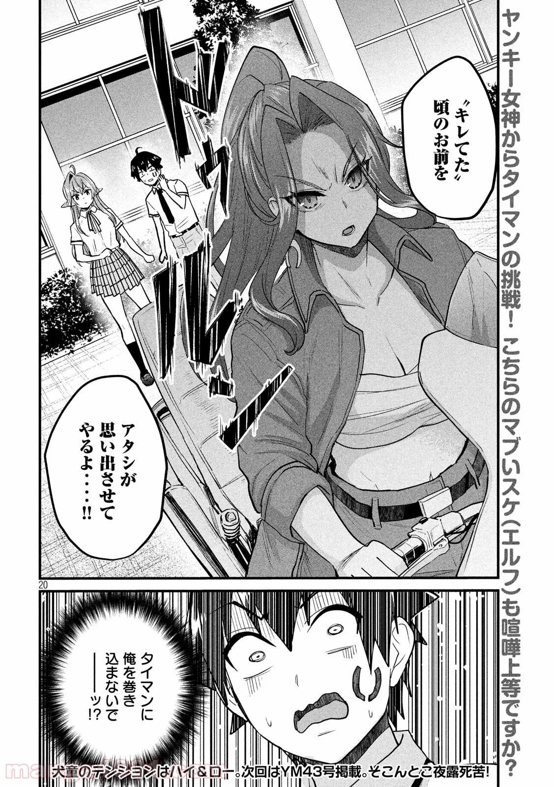 P20