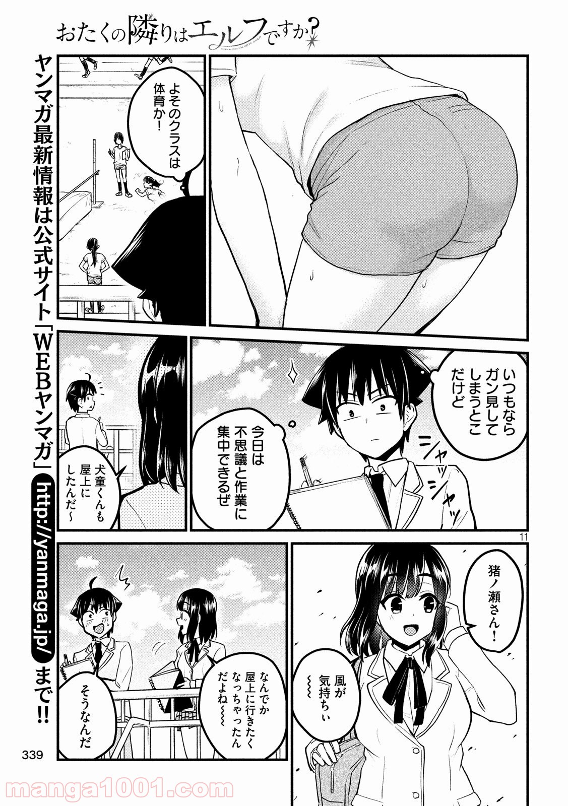 P11