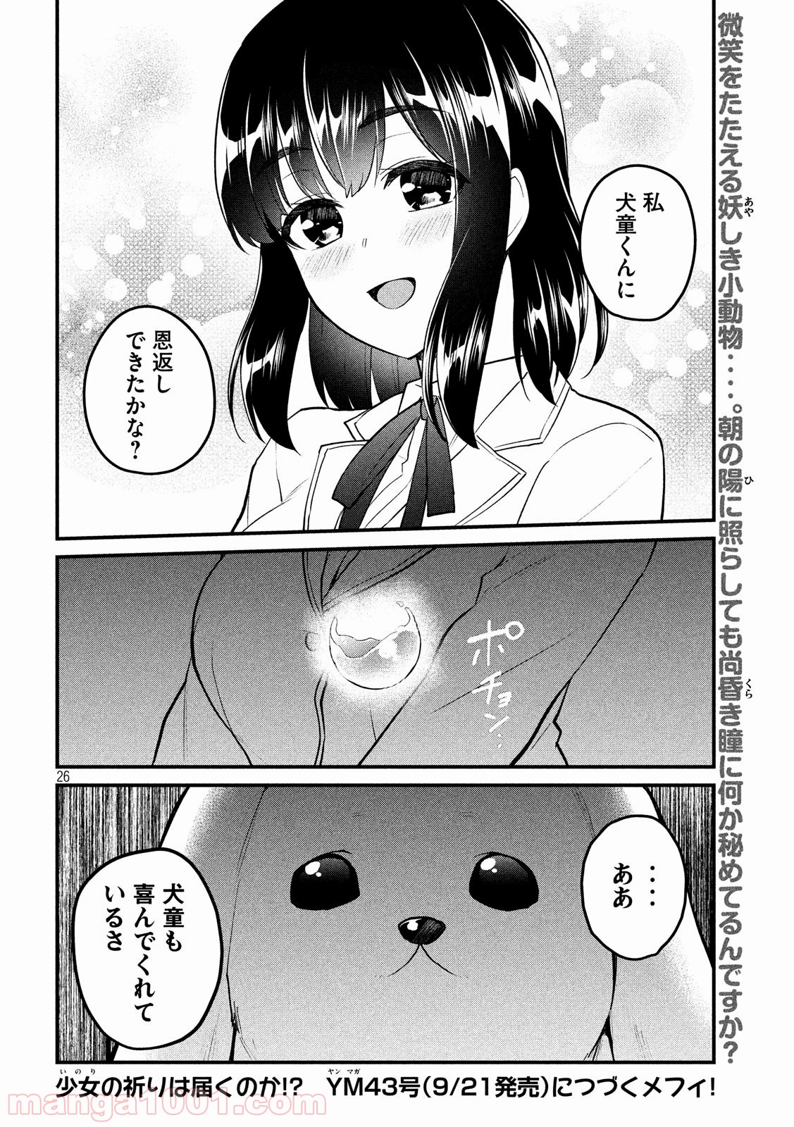 P26