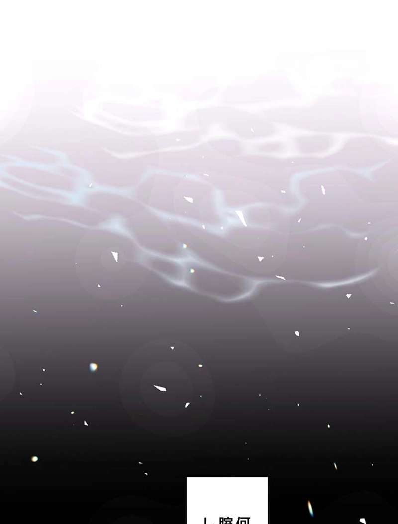 P63