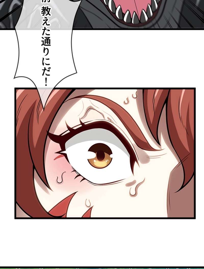 P66