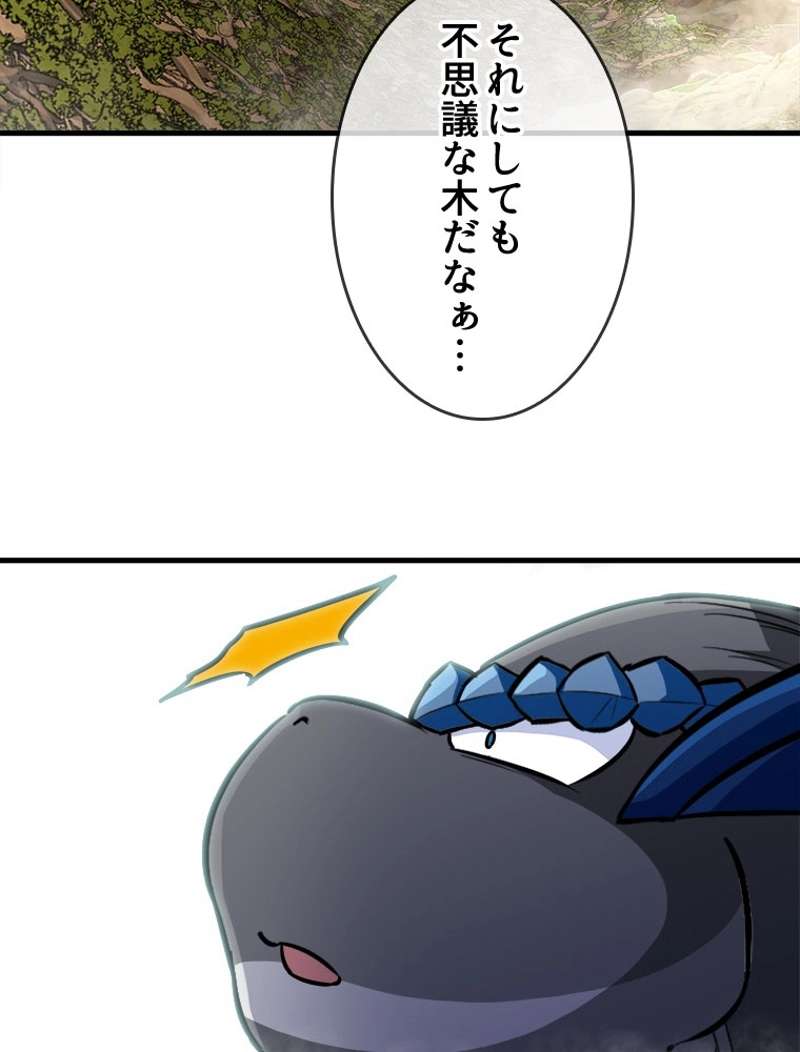 P53
