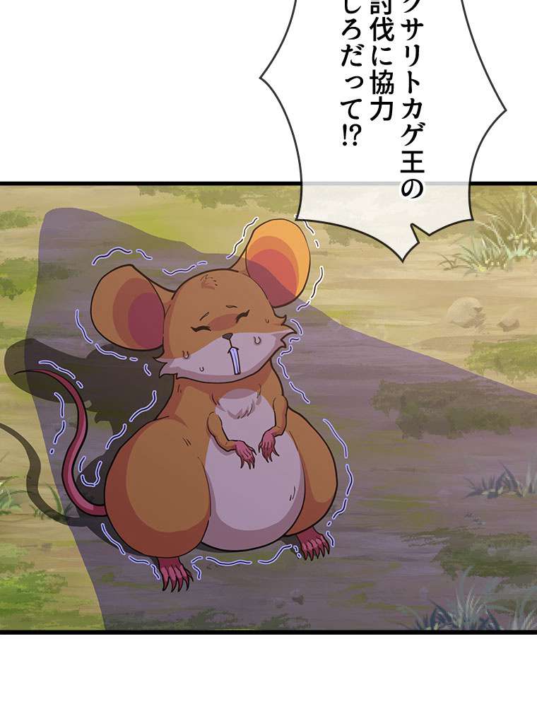 P42