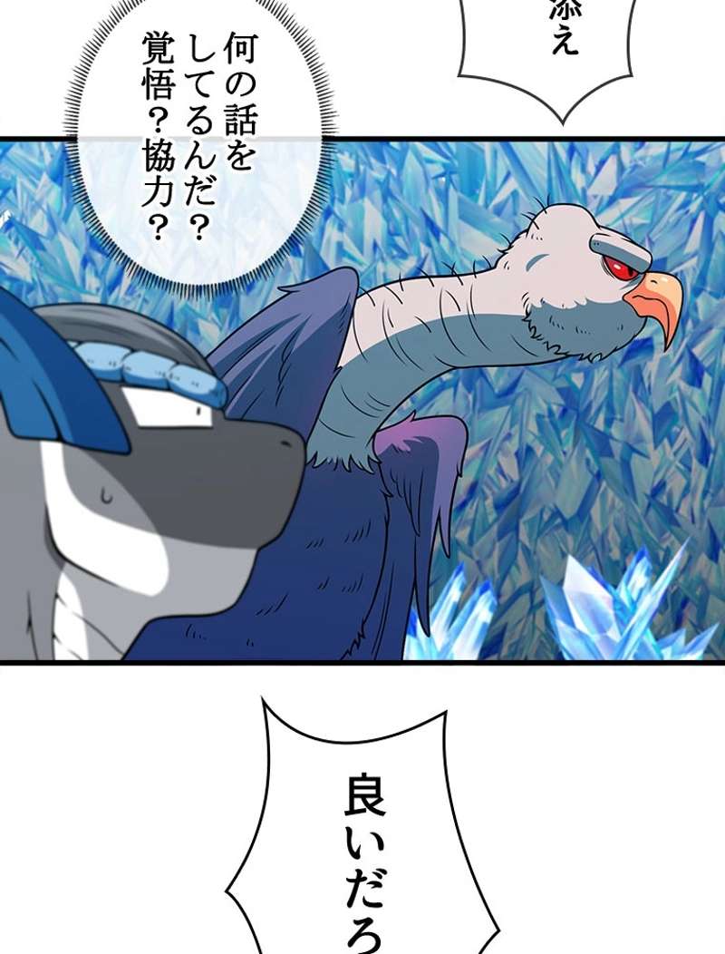 P53