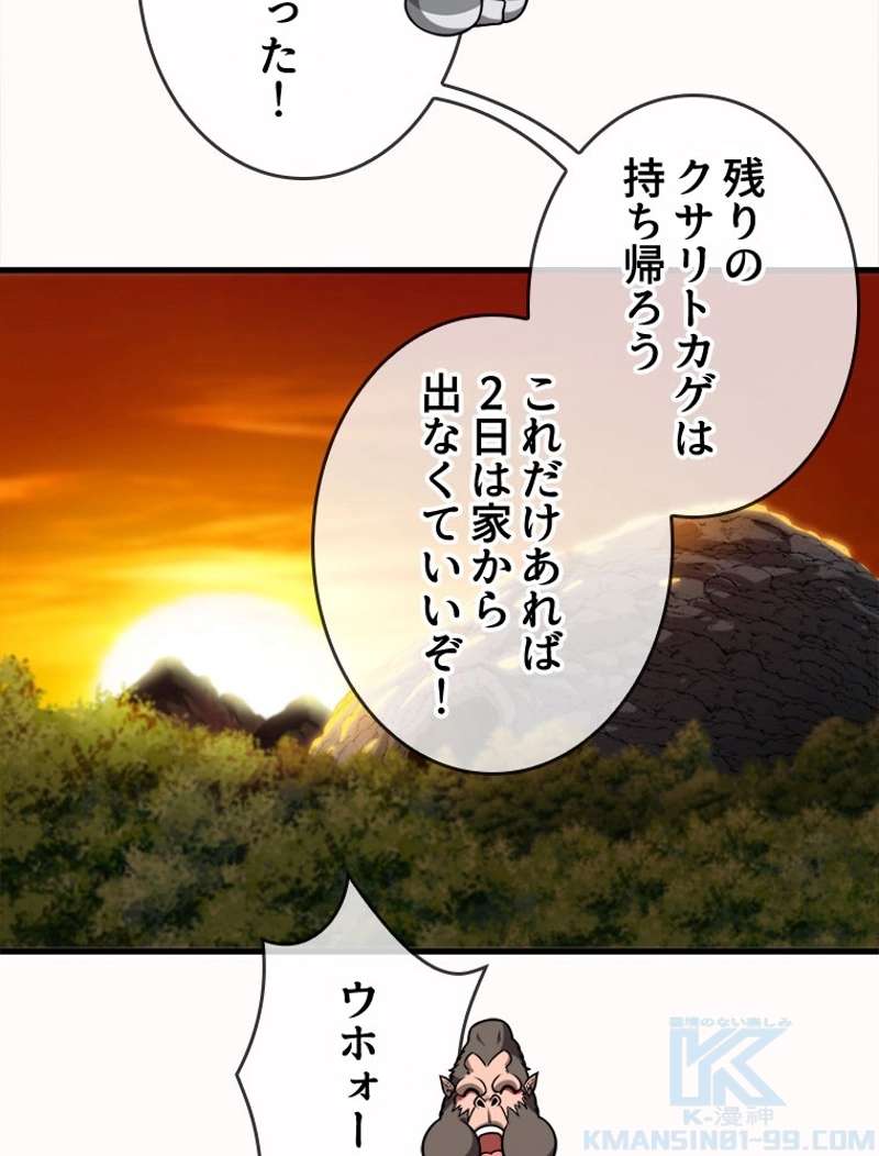 P61