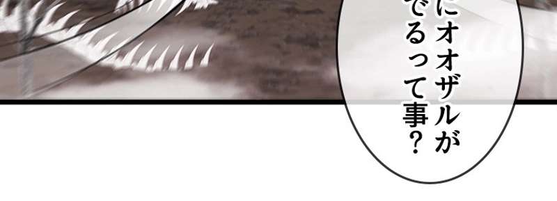P41