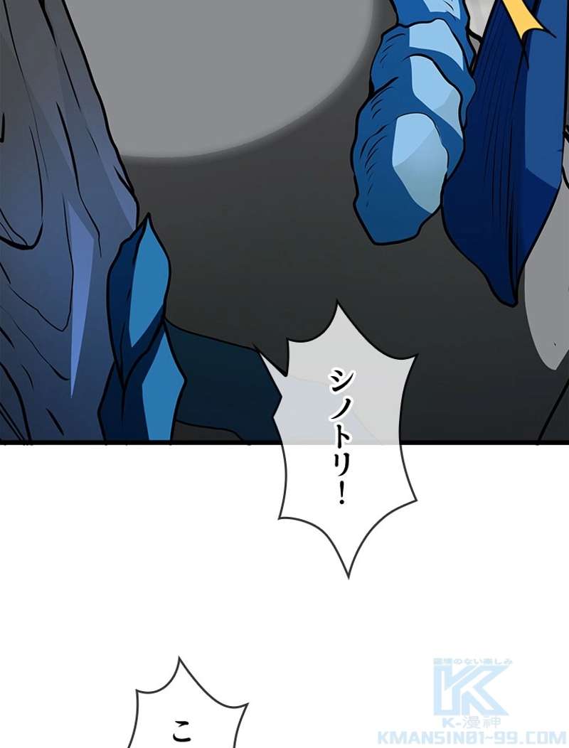 P58