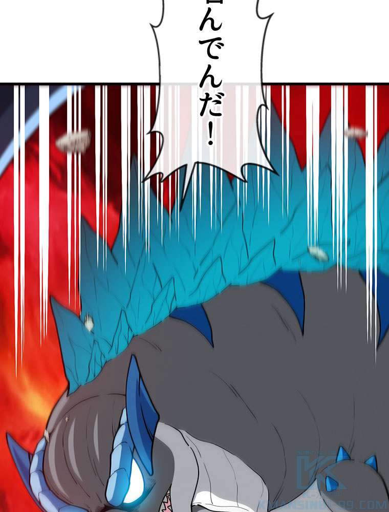 P58