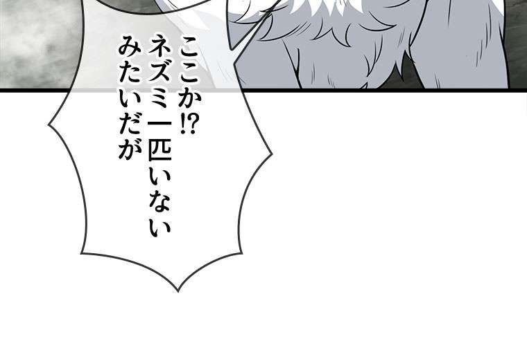 P41