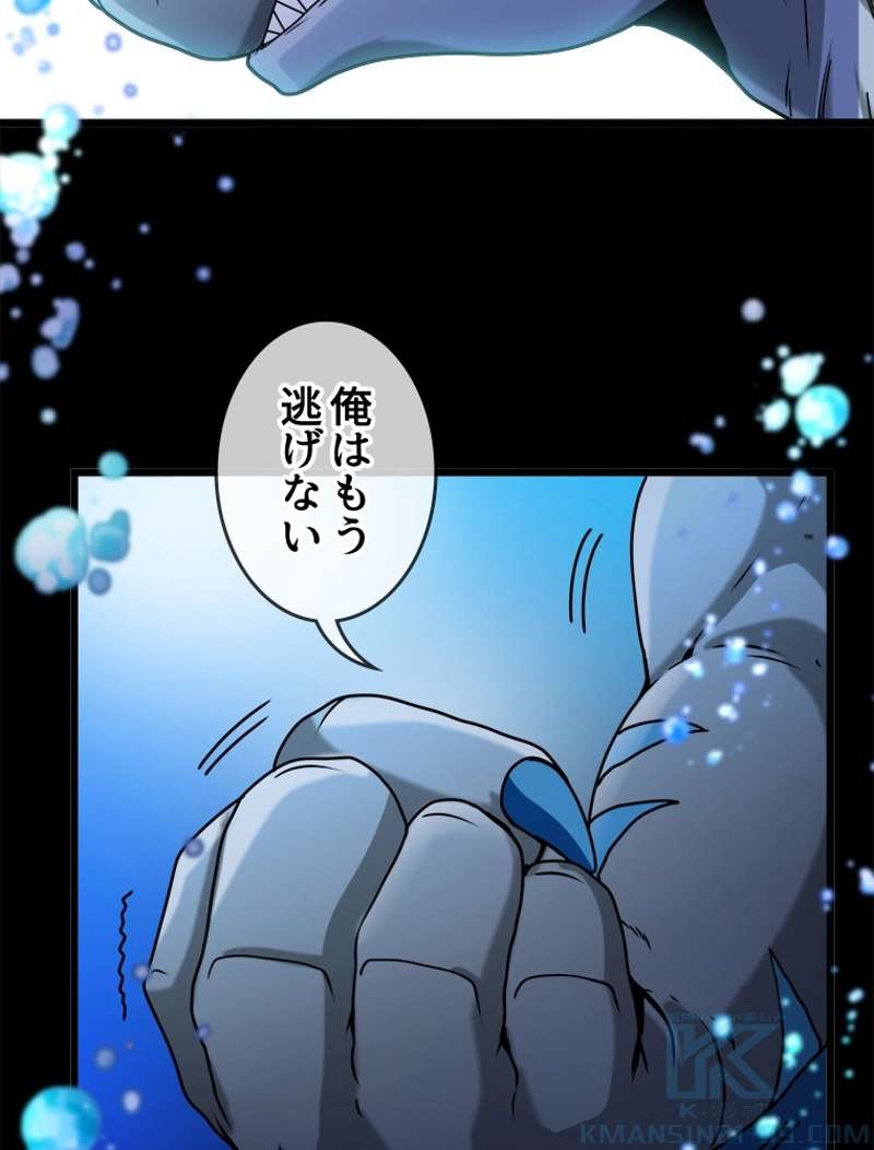 P58
