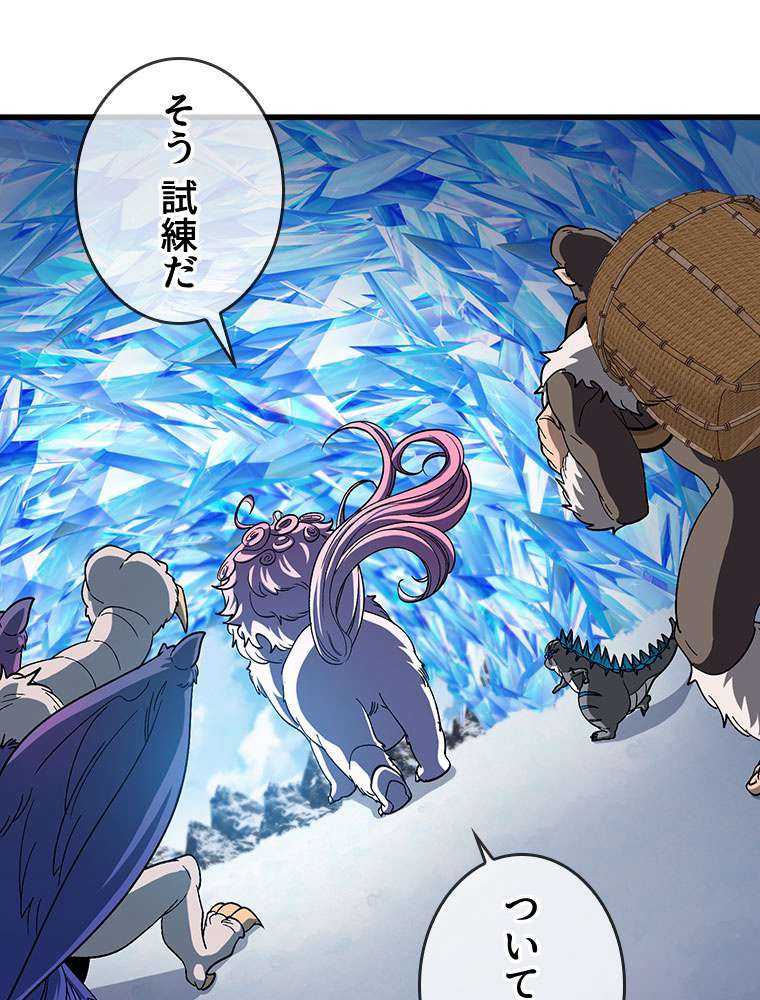 P42