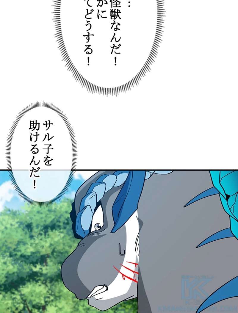 P55