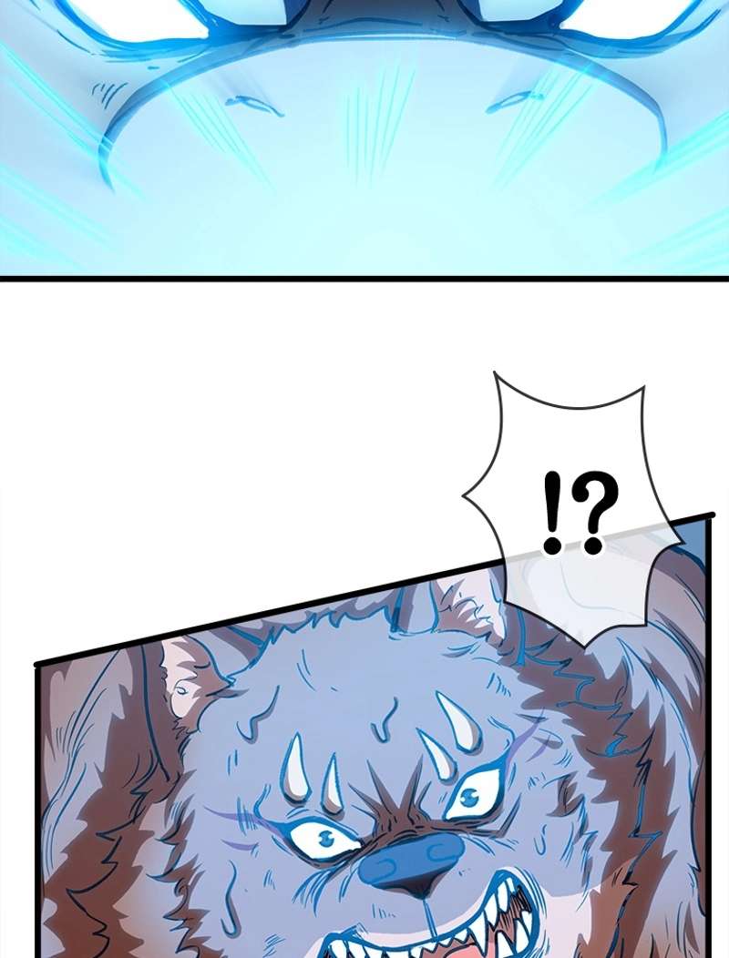 P44