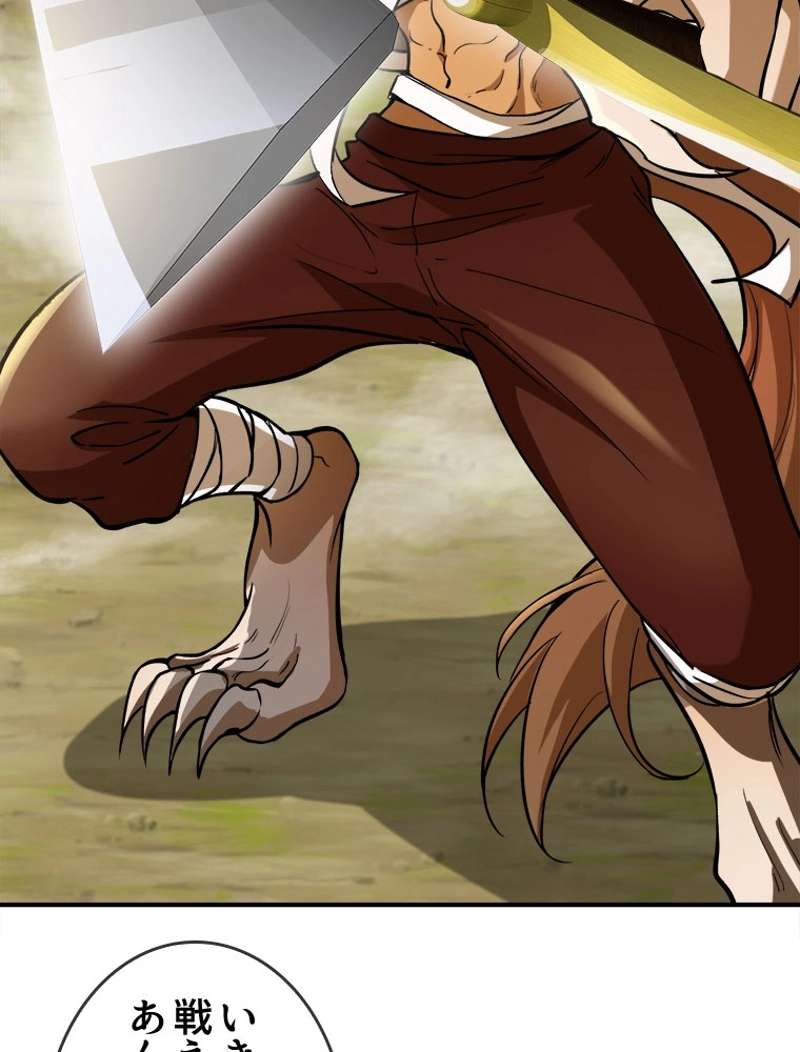 P44