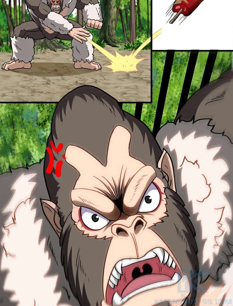 P55