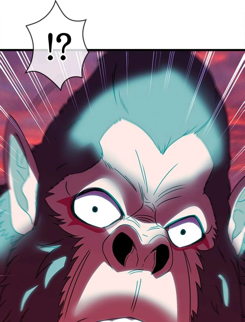 P65