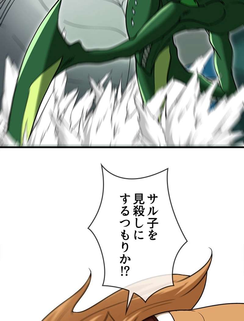 P48