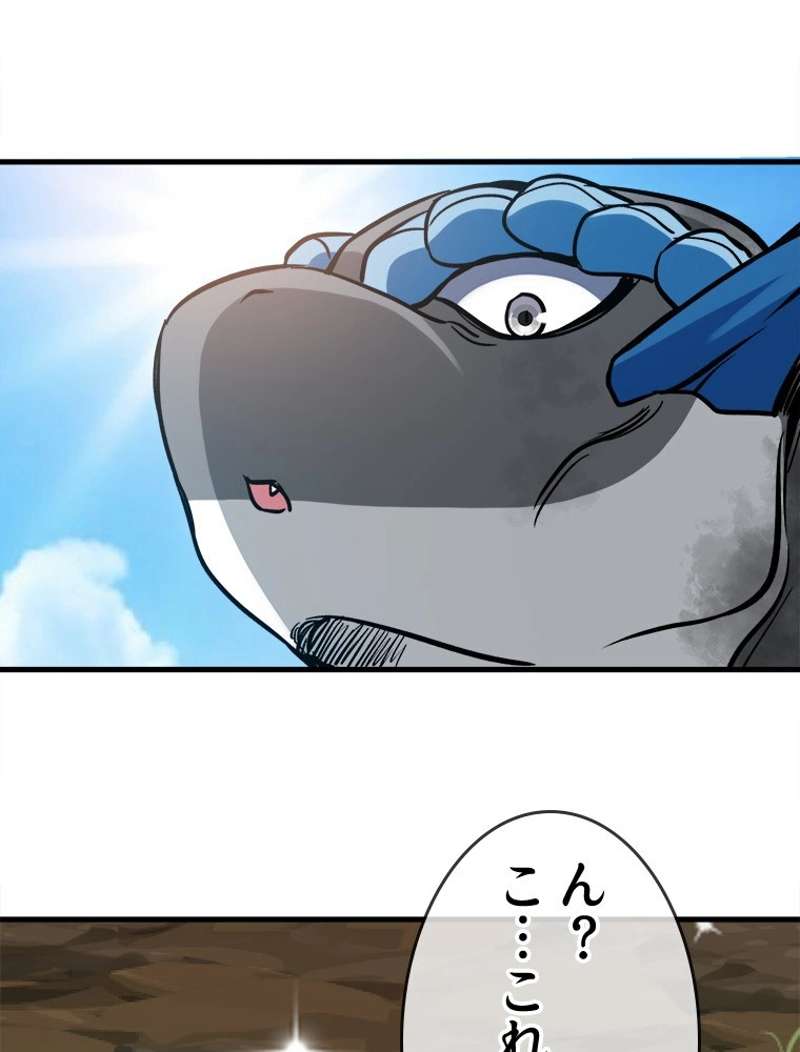 P63