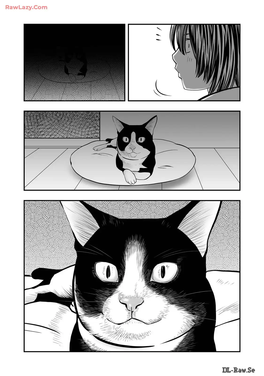P38