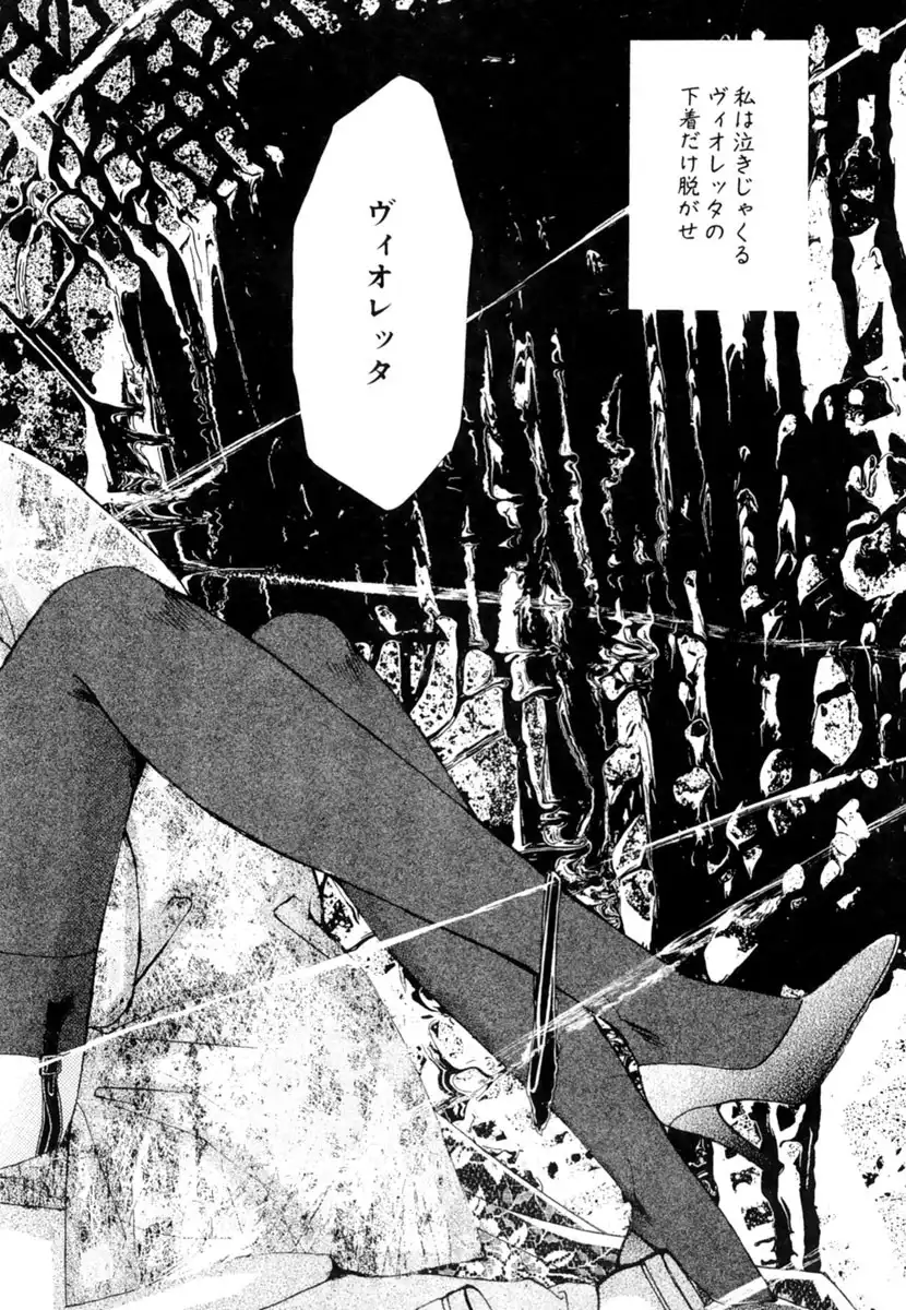 P53