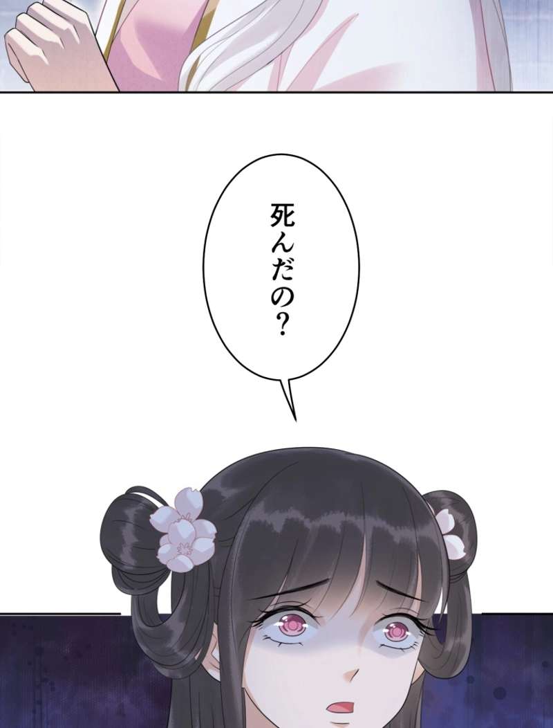 P41