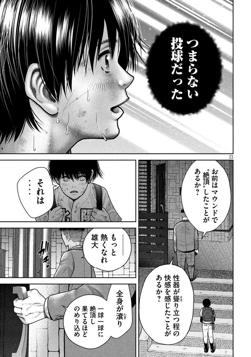 P23